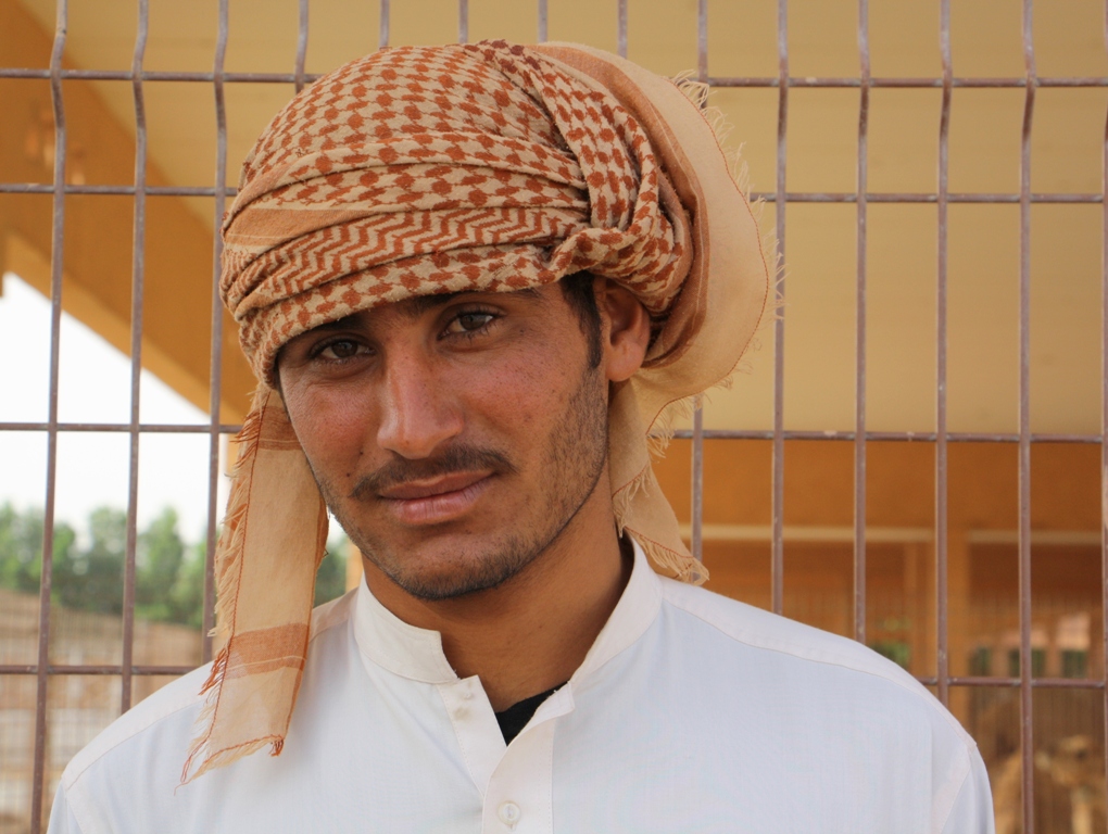 Camel Market, Al Ain, Abu Dhabi, UAE