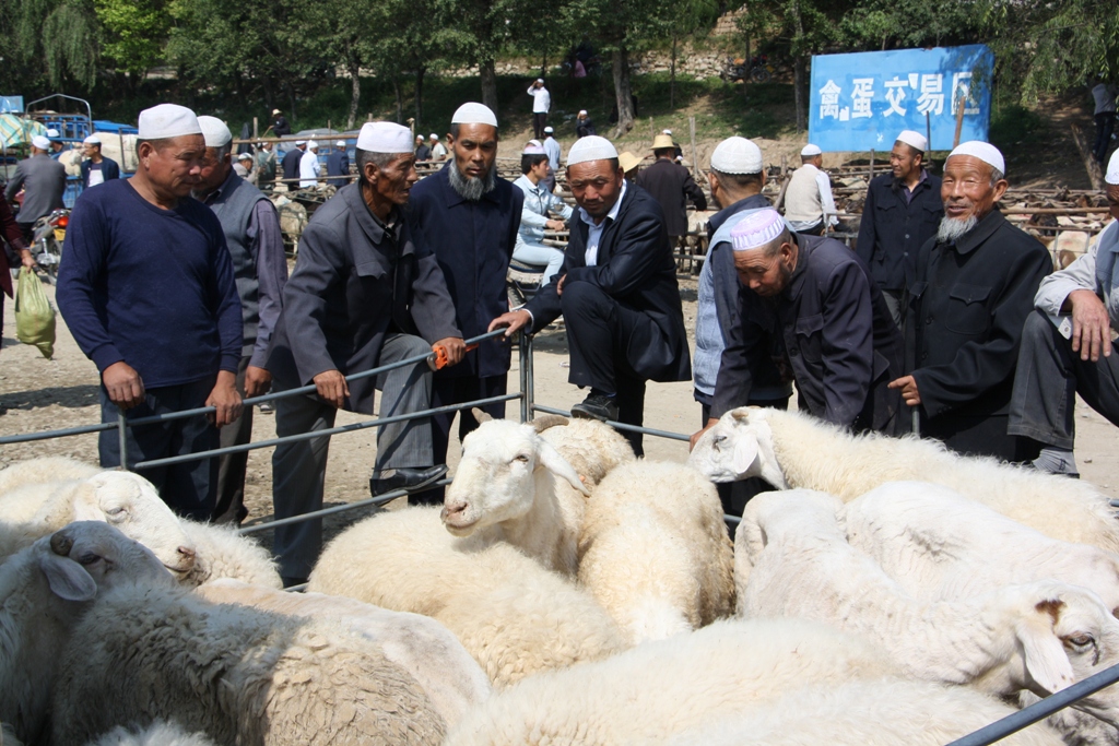 Livestock Market, Gansu Province, China