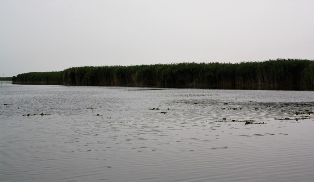 Bosten Lake, Korla, Xinjiang, China