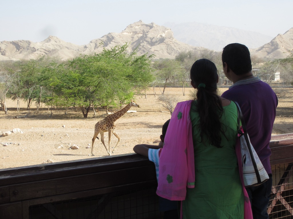 Al Ain Zoo, Abu Dhabi, United Arab Emirates