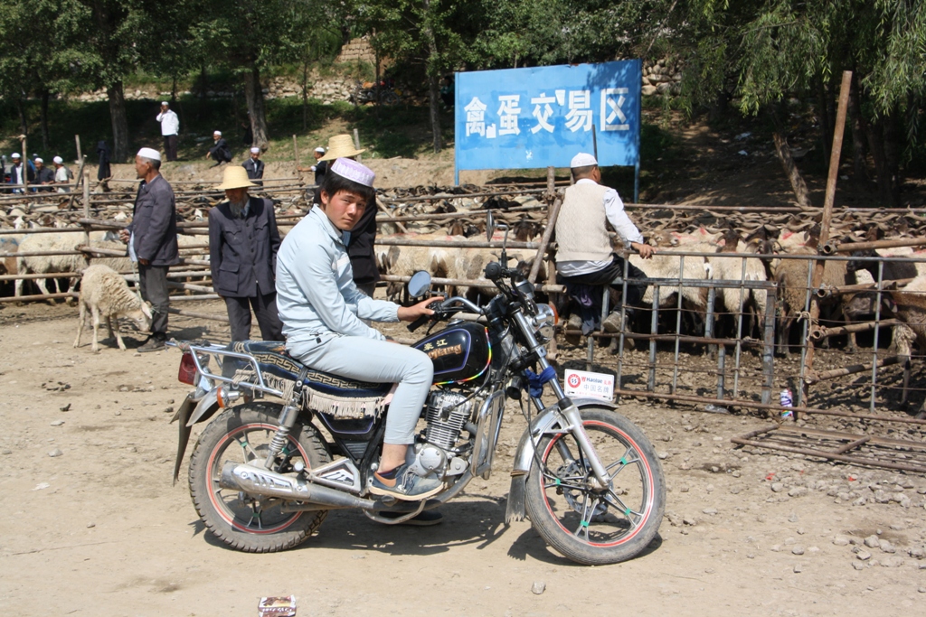 Livestock Market, Gansu Province, China