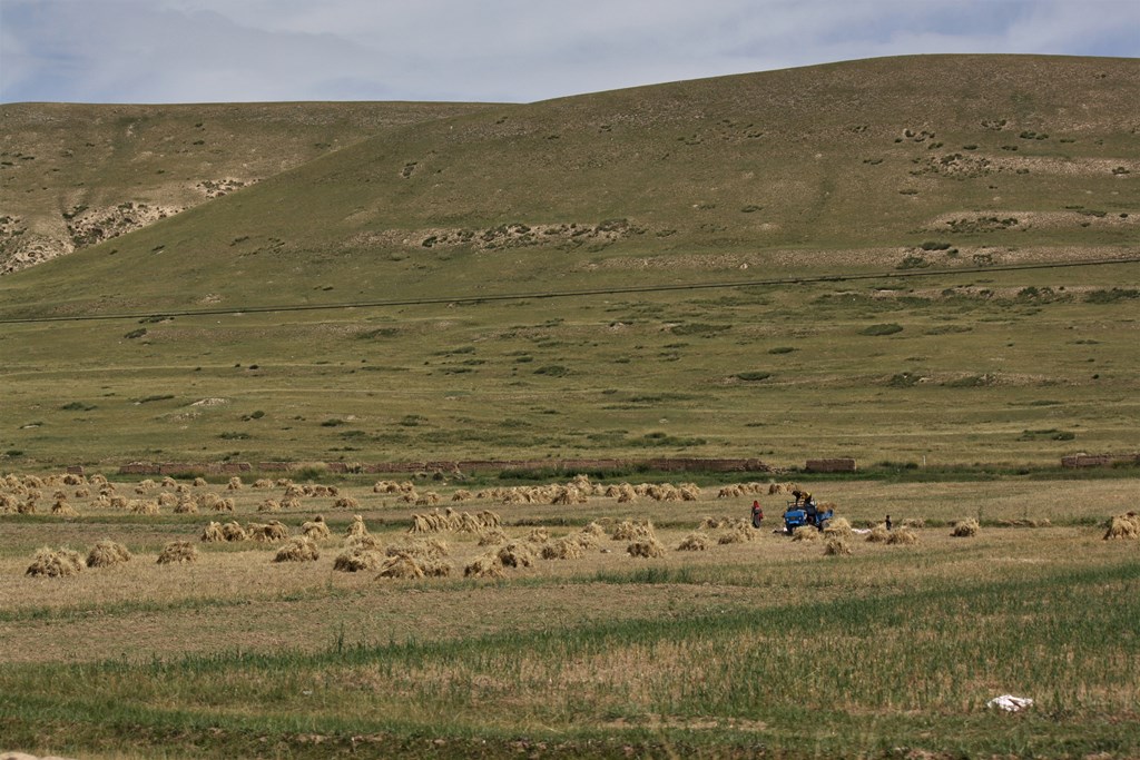 Sangke Grassland, Gannan Tibetan Autonomous Prefecture, Gansu Province, China