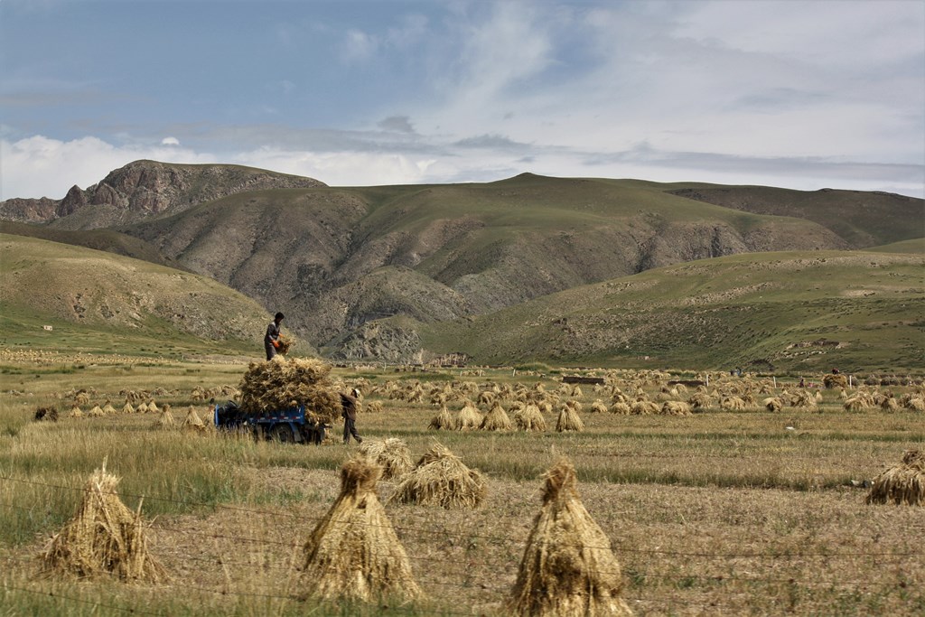 Sangke Grassland, Gannan Tibetan Autonomous Prefecture, Gansu Province, China