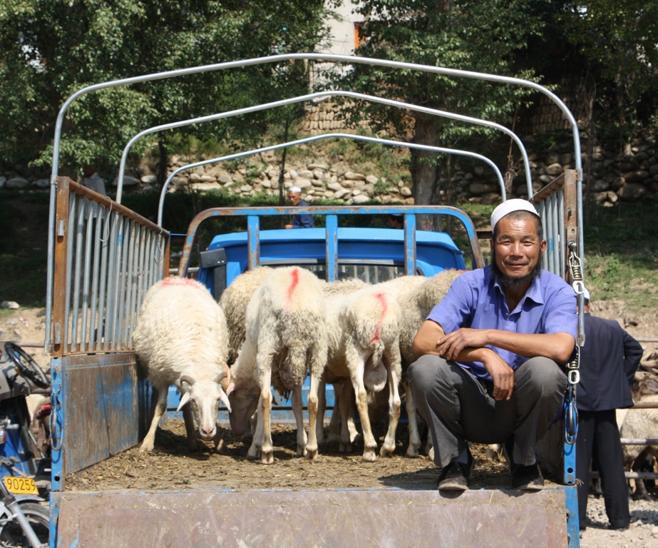 Livestock Market, Gansu Province, China