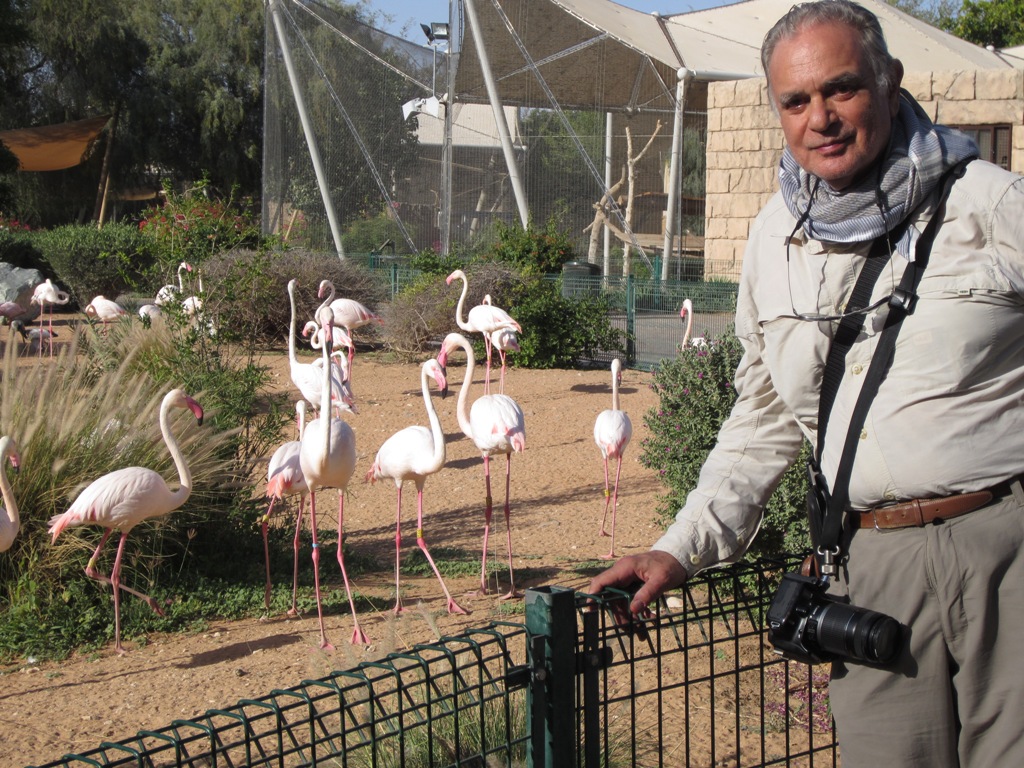 Al Ain Zoo, Abu Dhabi, United Arab Emirates