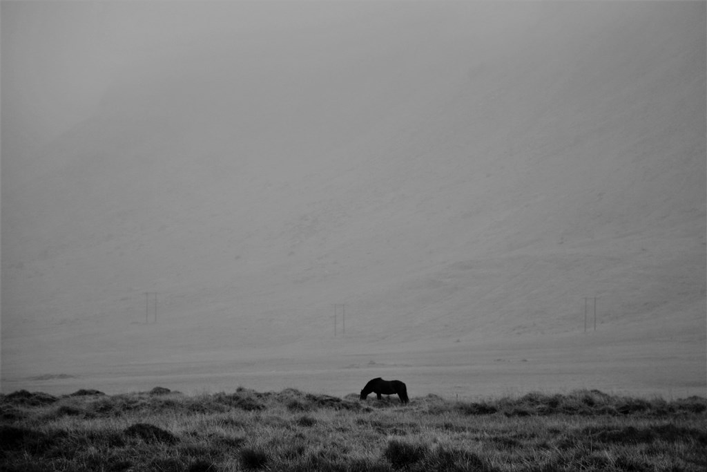 Hvalfjordur, West Iceland 