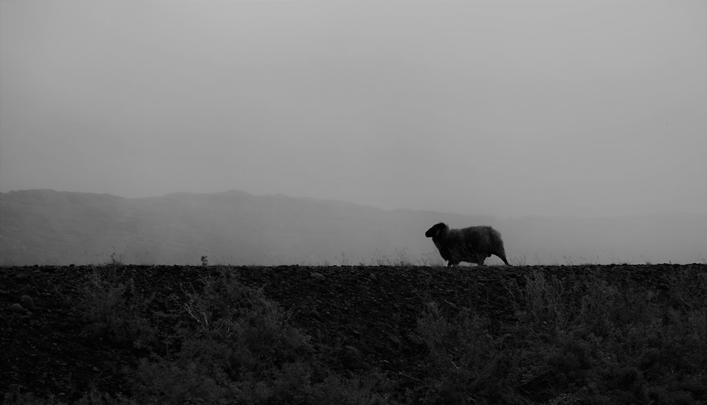 Hvalfjordur, West Iceland 