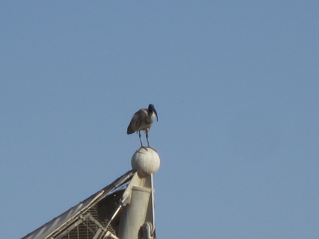 Al Ain Zoo, Abu Dhabi, United Arab Emirates