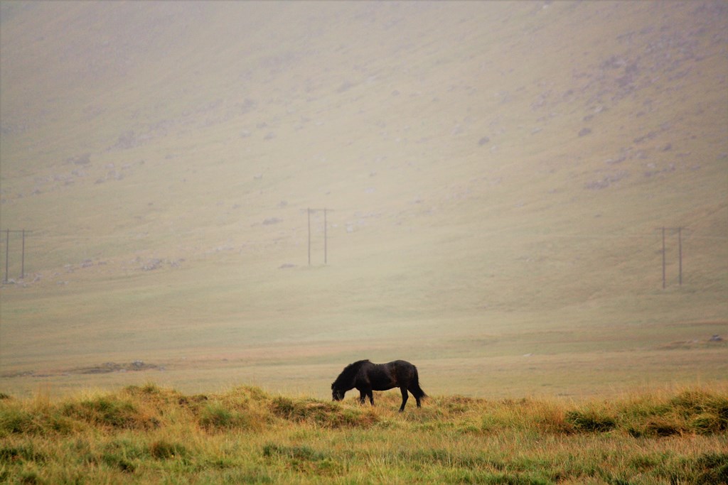  Hvalfjordur, West Iceland 