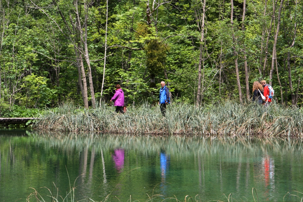 Plitvice Lakes National Park, Zadar Region, Croatia