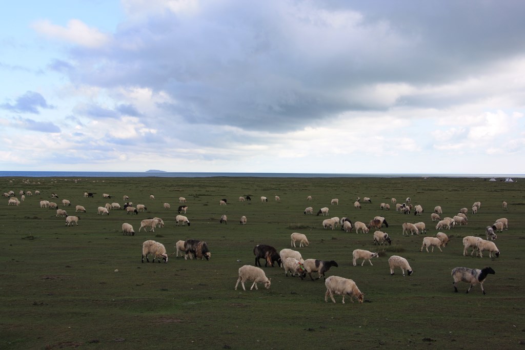  Qinghai Province, China