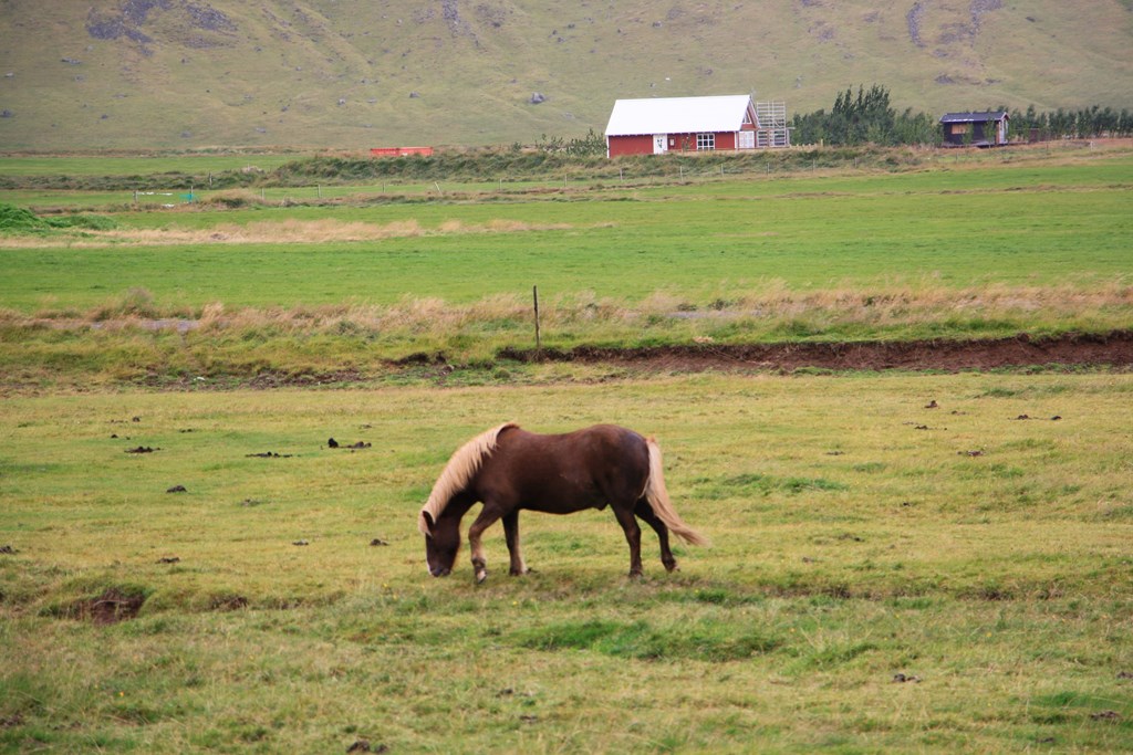  Hvalfjordur, West Iceland 