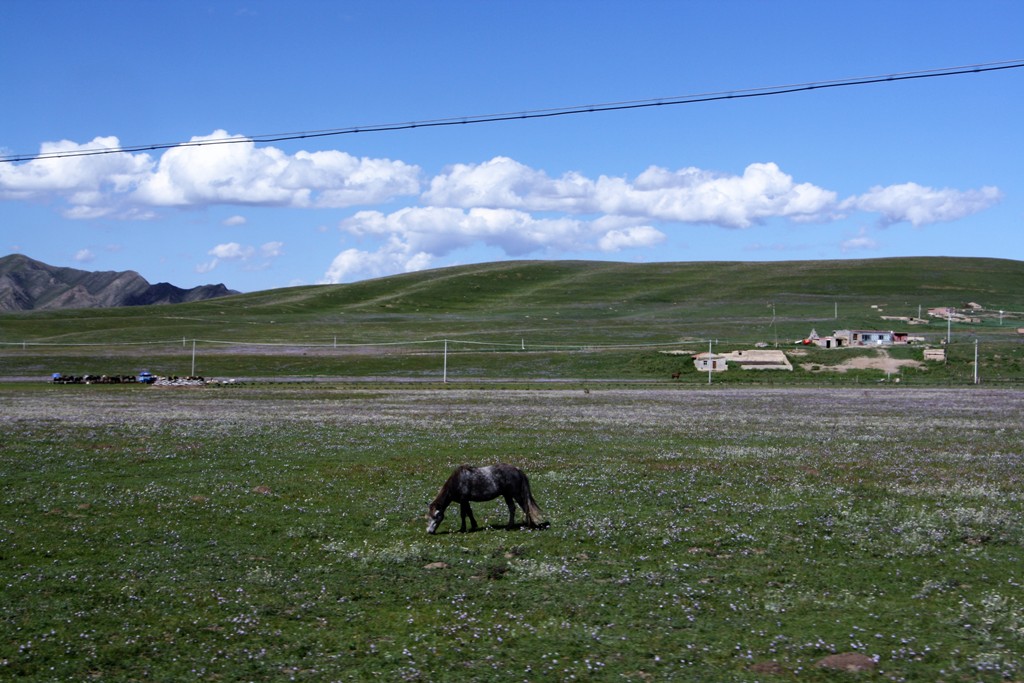 Xiahe County, Gannan Tibetan Autonomous Prefecture, Gansu, China