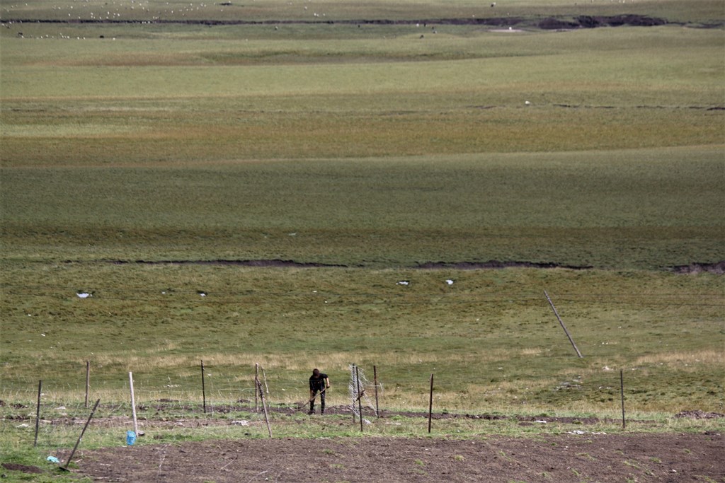 Sangke Grassland, Gannan Tibetan Autonomous Prefecture, Gansu Province, China