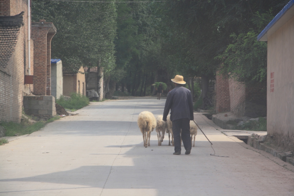 Minority Village, Gansu Province, China