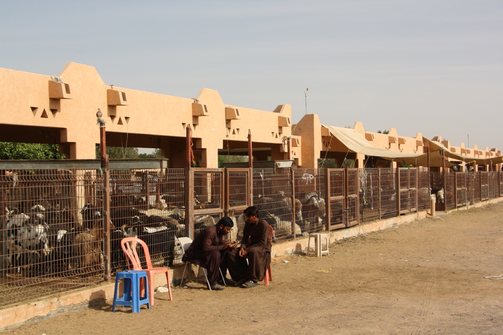 Goat Market, Al Ain, Abu Dhabi, United Arab Emirates