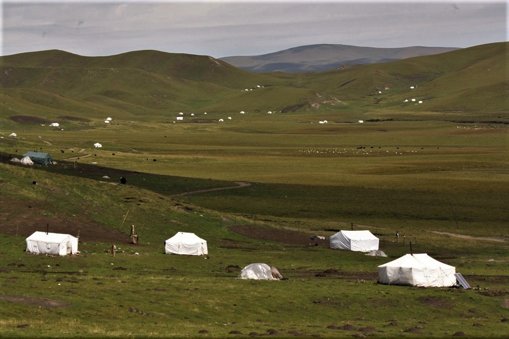 Sangke Grassland, Gannan Tibetan Autonomous Prefecture, Gansu Province, China