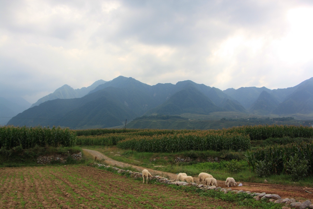 Minority Village, Gansu Province, China