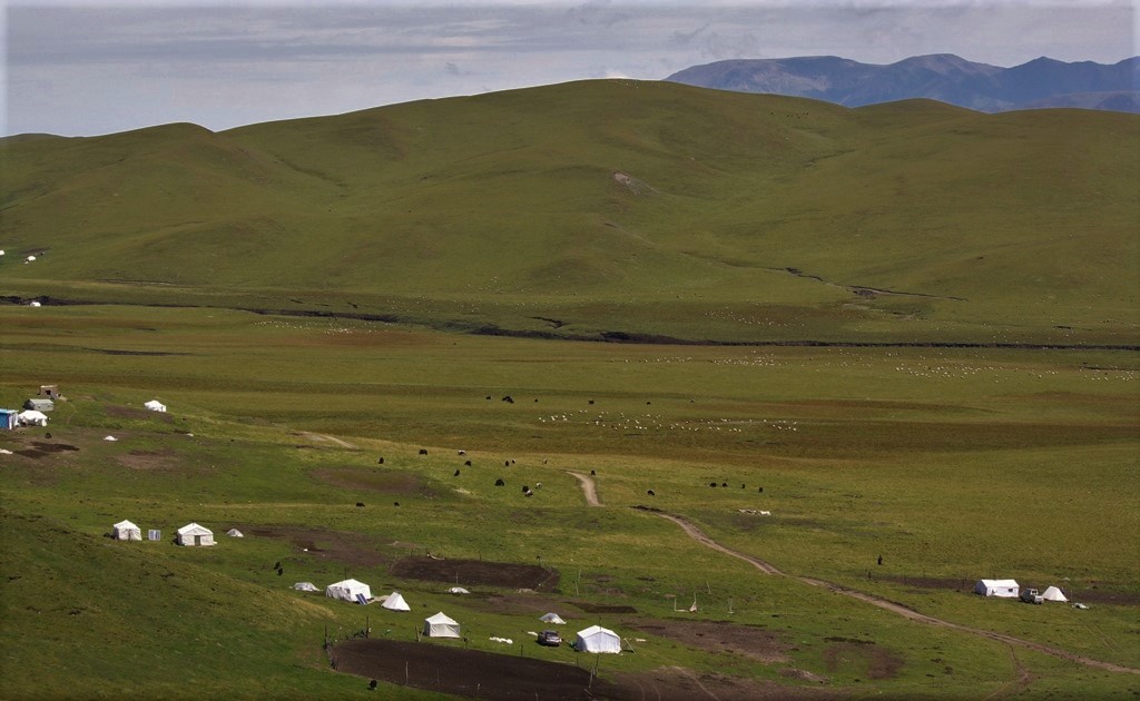 Sangke Grassland, Gannan Tibetan Autonomous Prefecture, Gansu Province, China