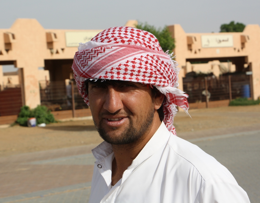 Camel Market, Al Ain, Abu Dhabi, UAE