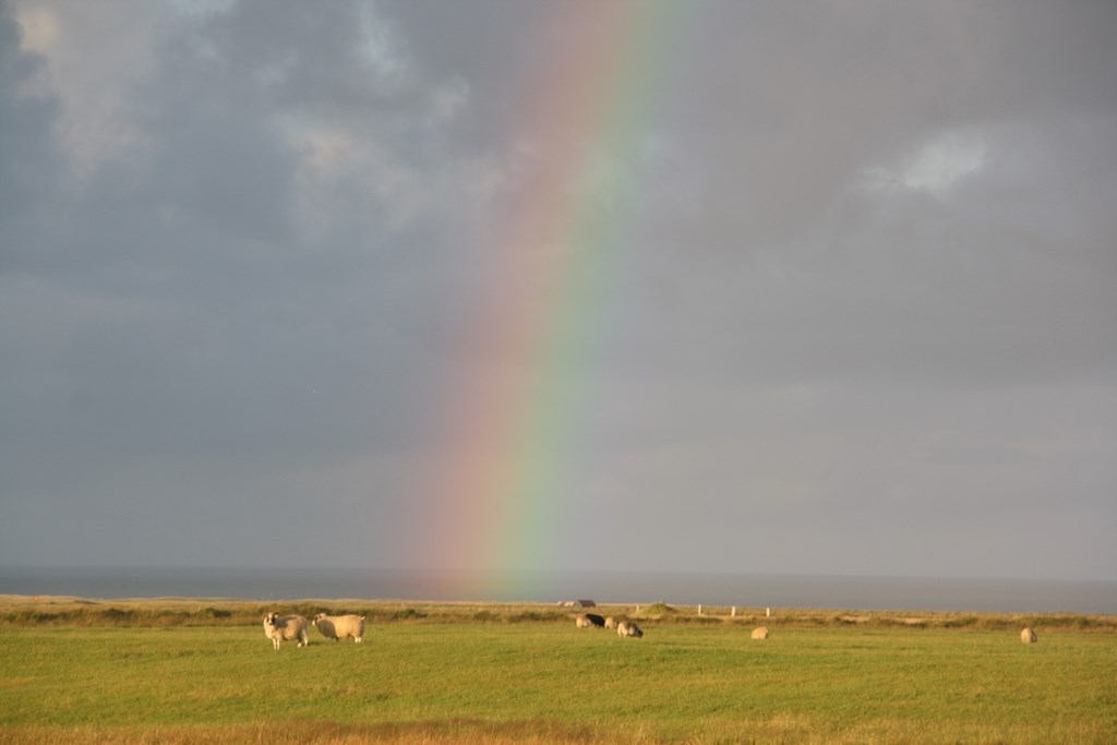 Iceland