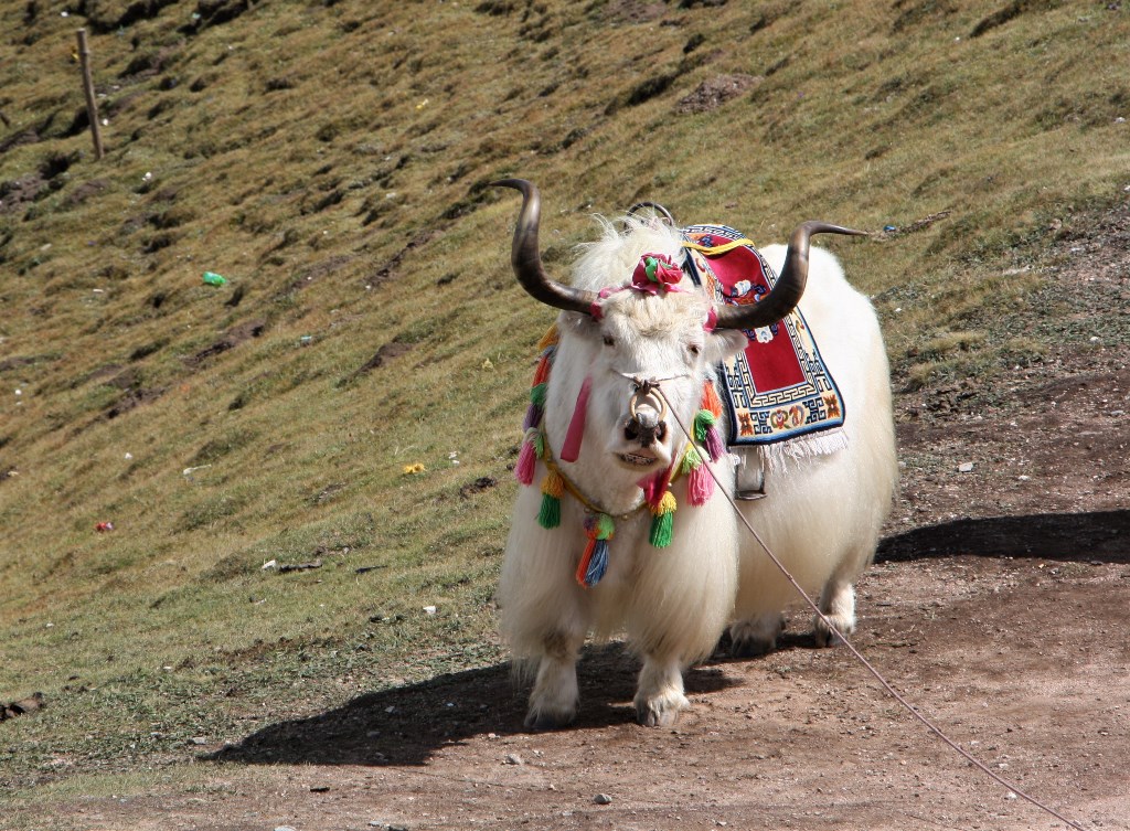 Sun and Moon Mountain, Qinghai Province, China