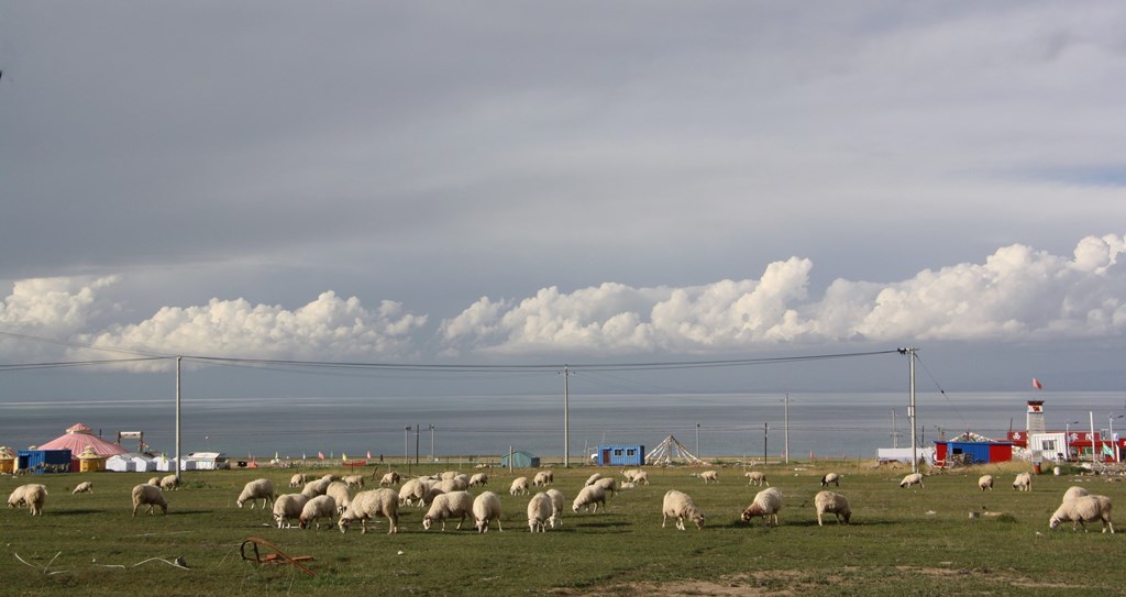 Qinghai Lake, Qinghai Province, China