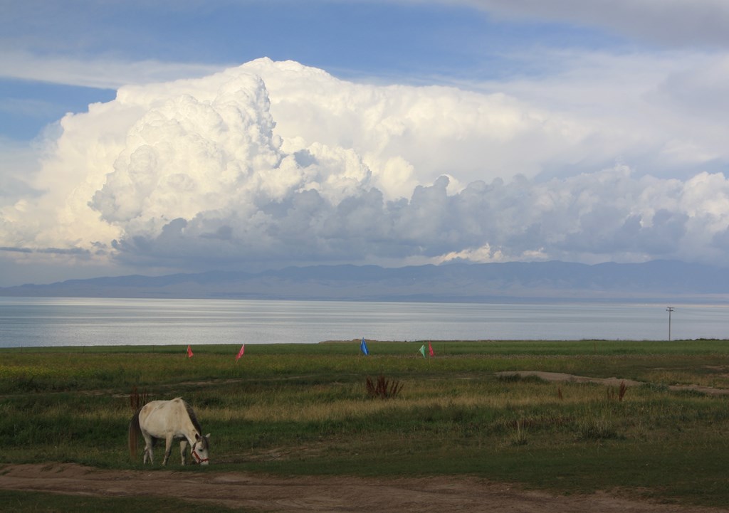 Qinghai Lake, Qinghai Province, China