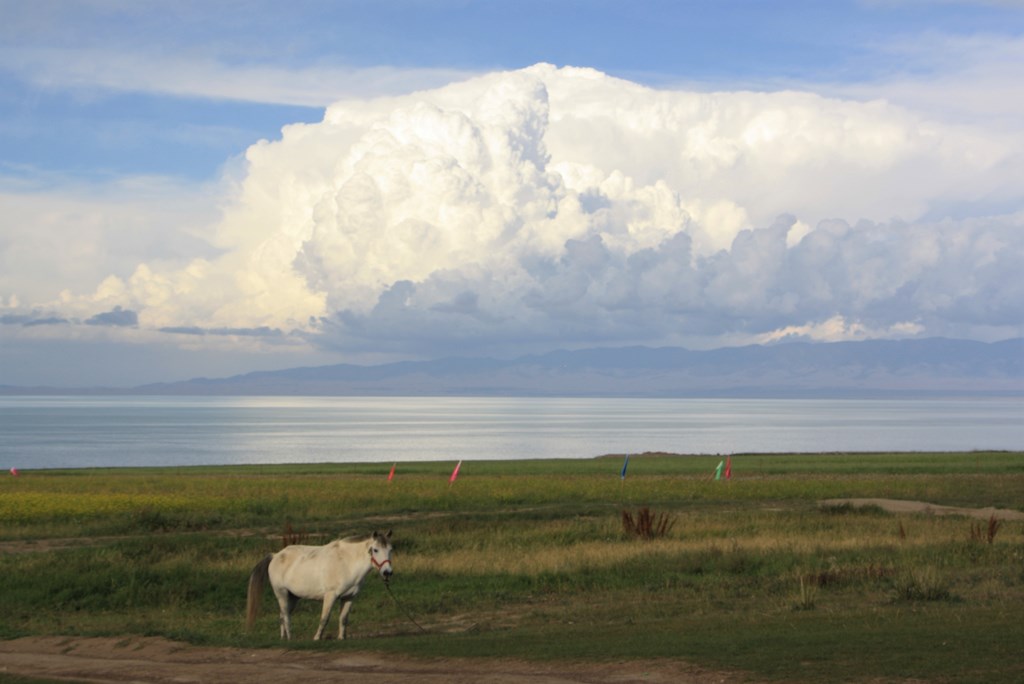 Qinghai Lake, Qinghai Province, China