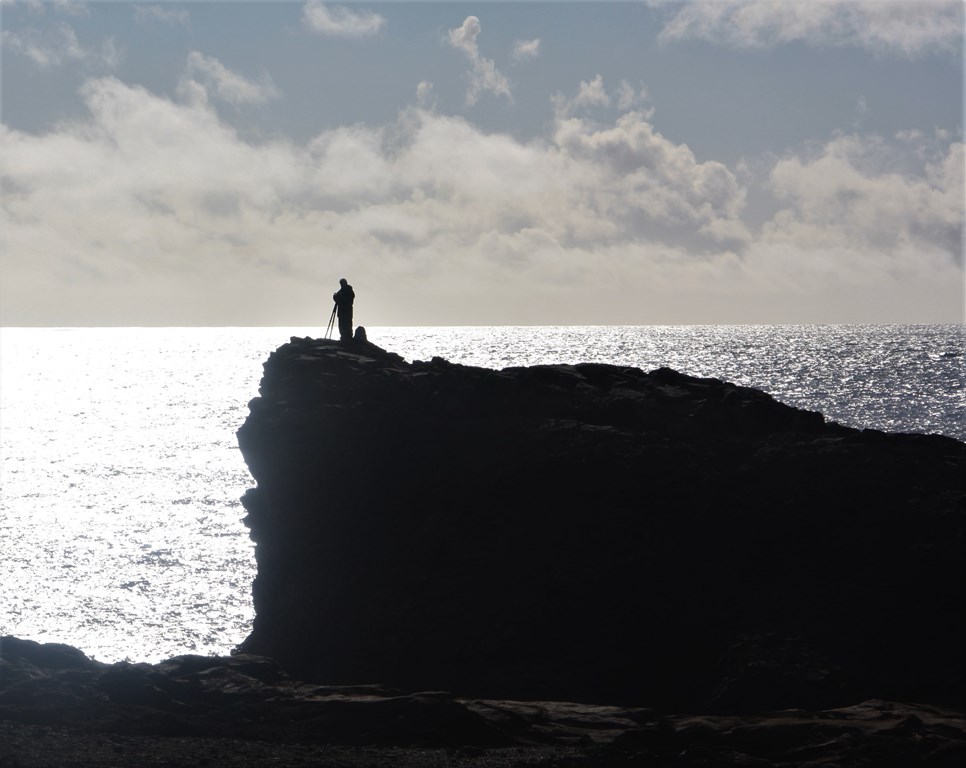 Dyrhólaey Peninsula, South Coast, Iceland