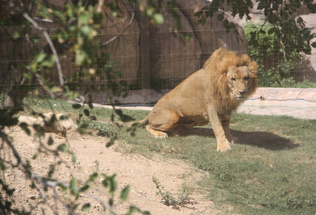 Al Ain Zoo, Abu Dhabi, United Arab Emirates