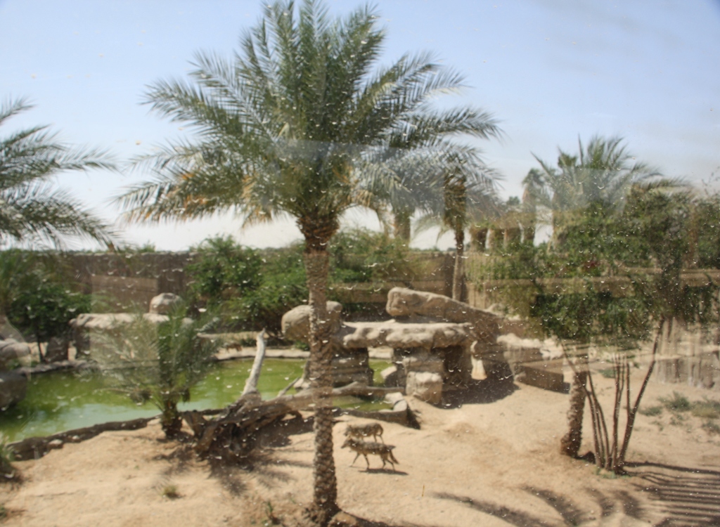 Al Ain Zoo, Abu Dhabi, United Arab Emirates