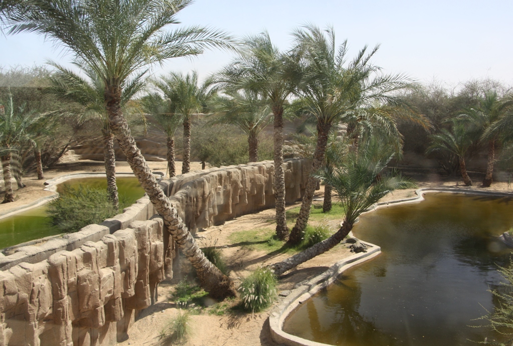 Al Ain Zoo, Abu Dhabi, United Arab Emirates