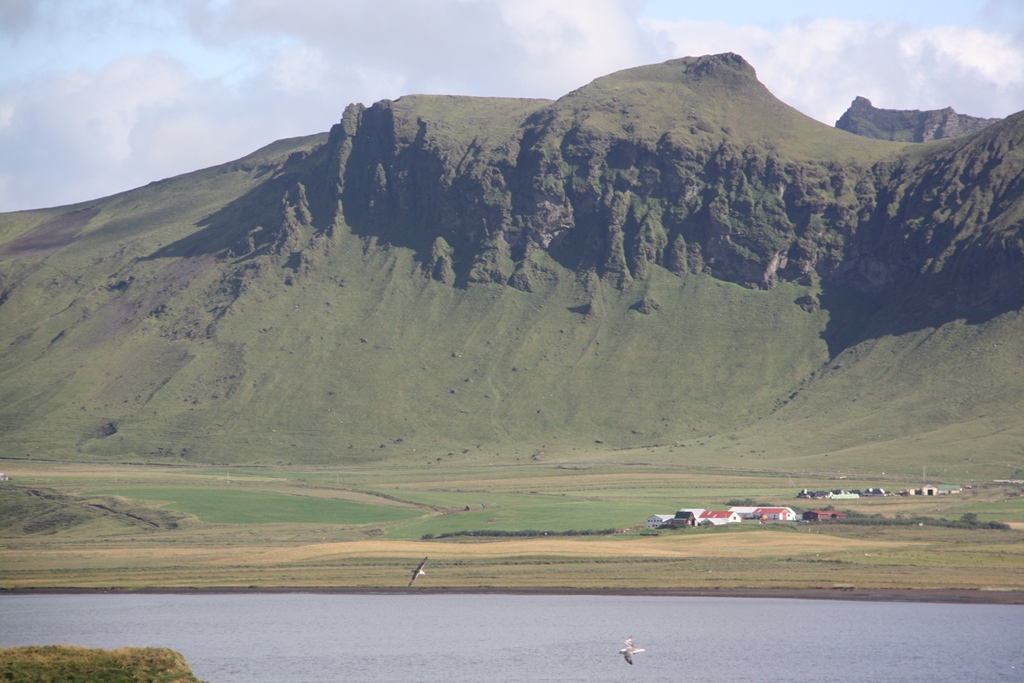 Dyrhólaey Peninsula, South Coast, Iceland