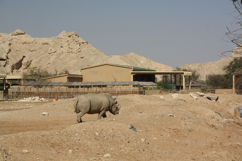 Al Ain Zoo, Abu Dhabi, United Arab Emirates