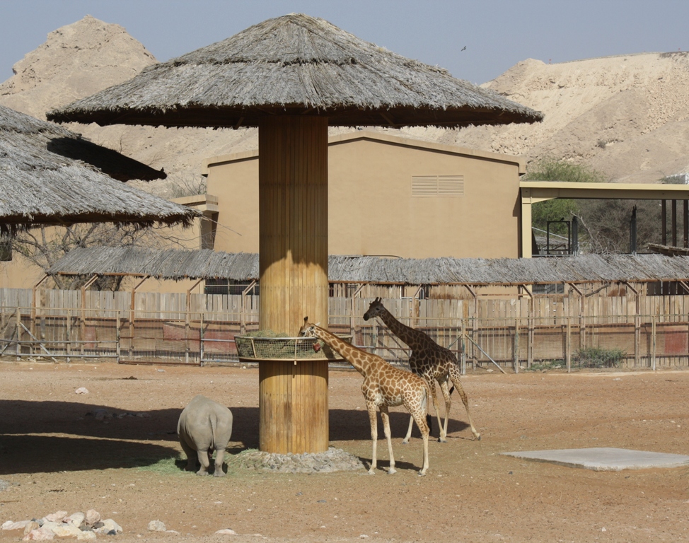 Al Ain Zoo, Abu Dhabi, United Arab Emirates