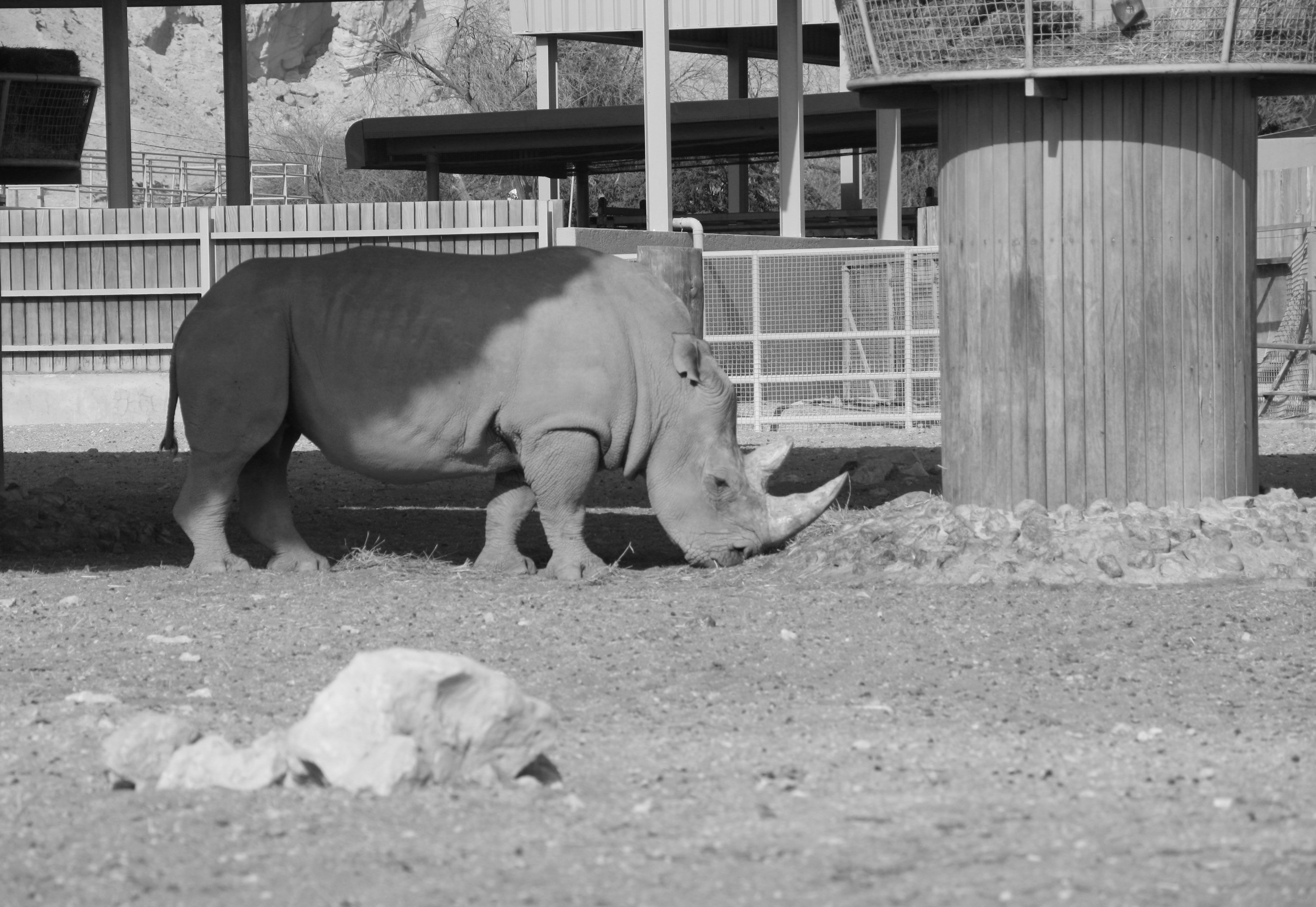 Al Ain Zoo, Abu Dhabi, United Arab Emirates