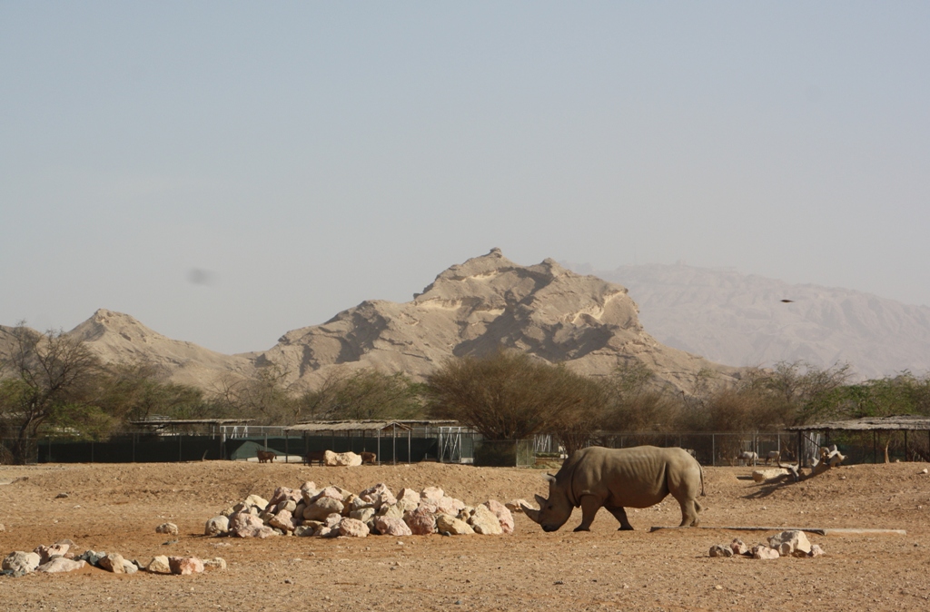 Al Ain Zoo, Abu Dhabi, United Arab Emirates