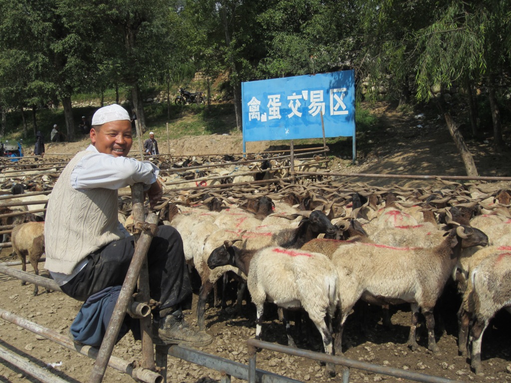 Livestock Market, Gansu Province, China