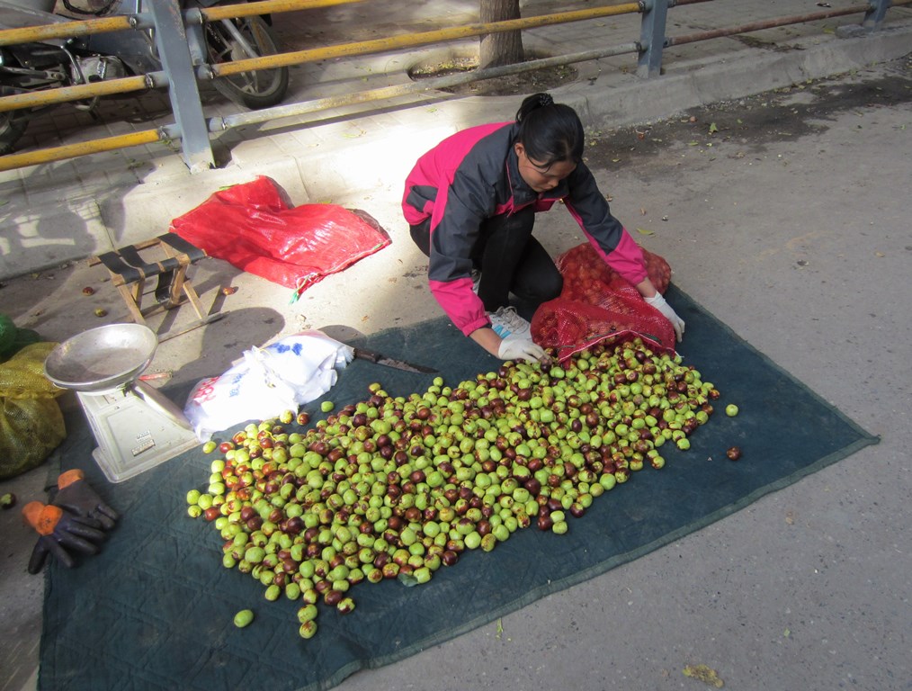 Xining, Qinghai Province, China