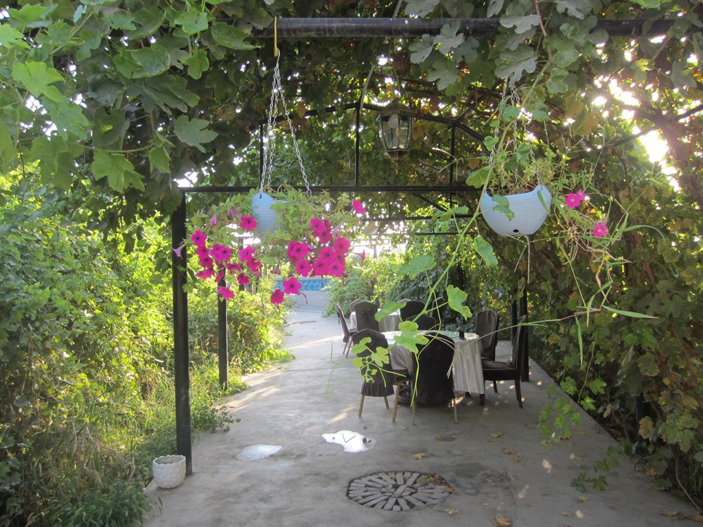 Turpan Silk Road Lodges - The Vines