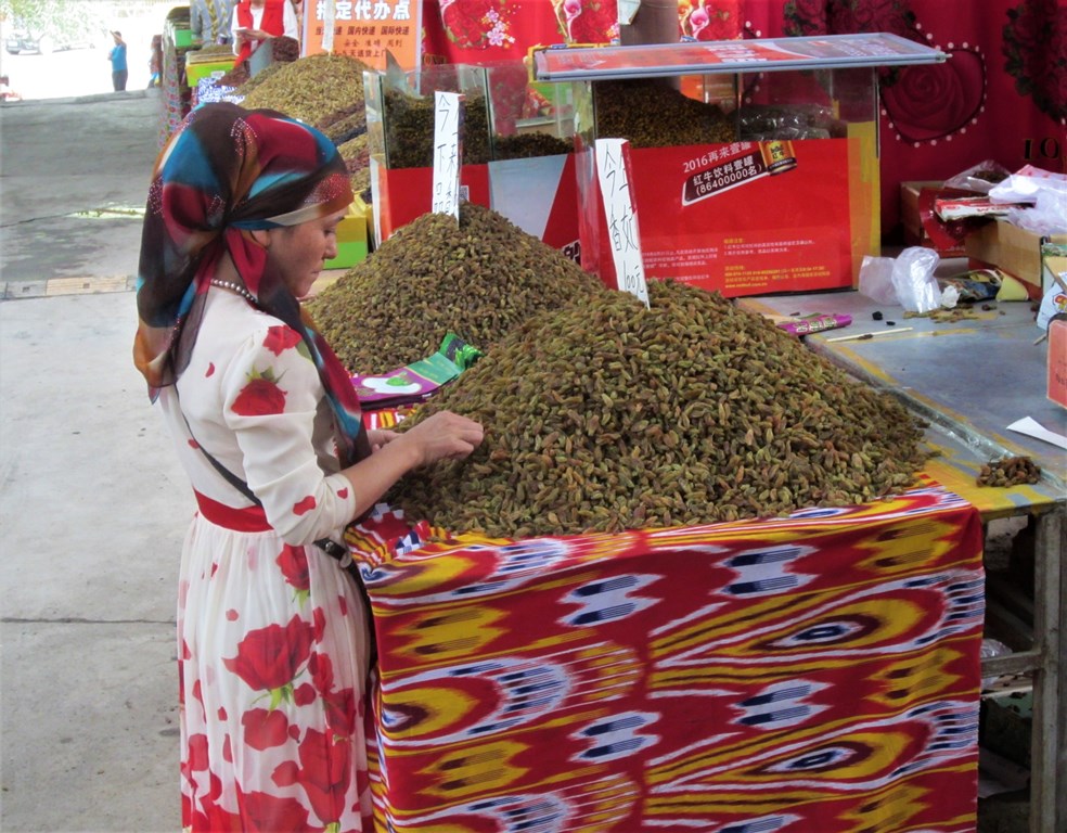 Turpan Village, Xinjiang, China