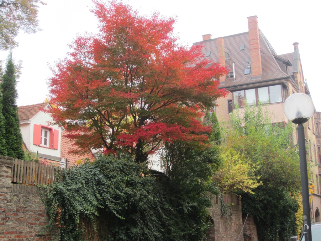 Old Town, Ulm, Germany