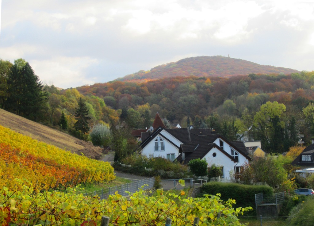 Oberdollendorf, North Rhine-Westphalia, Germany. 