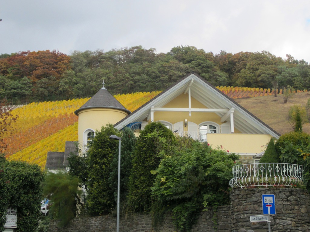 Oberdollendorf, North Rhine-Westphalia, Germany. 