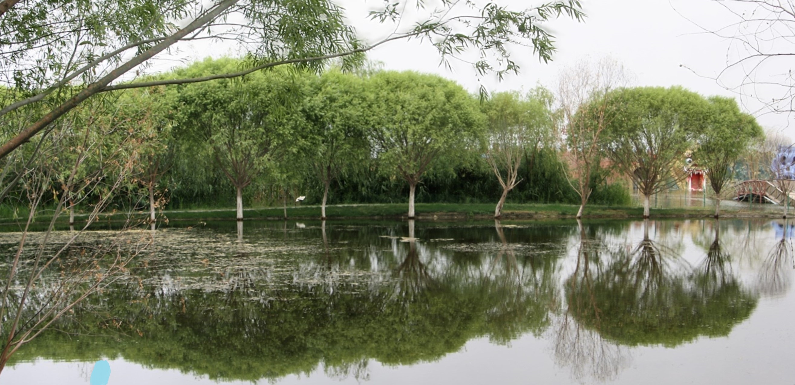 Bosten Lake, Korla, Xinjiang, China