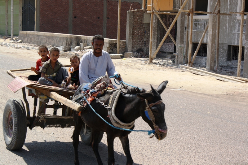 Modkor Village, Aswan, Egypt