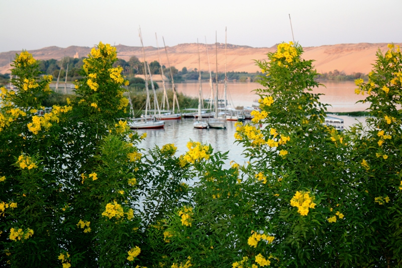 The Nile, Aswan, Egypt