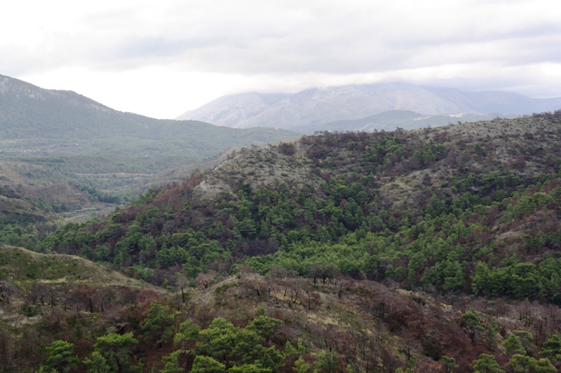  Ancient Kamiros, Rhodes