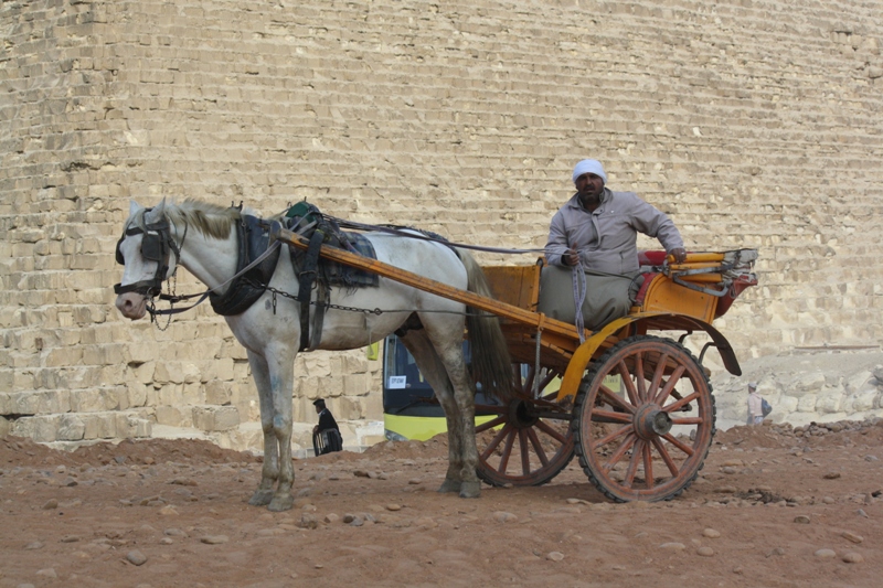 Pyramid Complex, Giza Necropolis